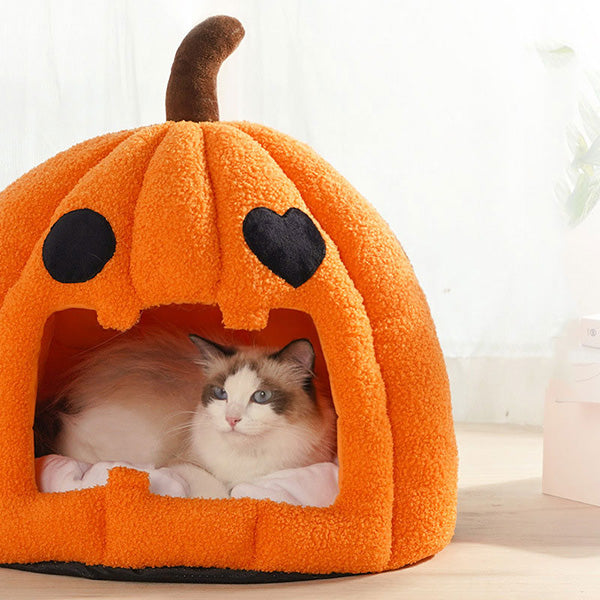 Pumpkin Cat Cave